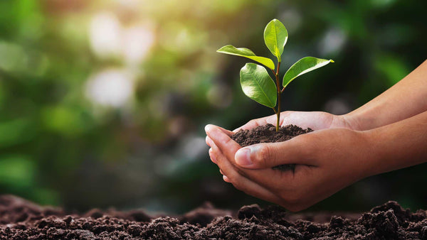 The Sustainability Benefits of Metal Roofing